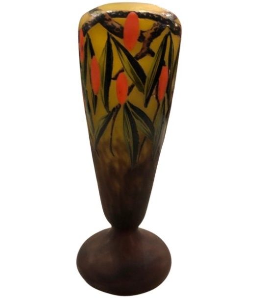Glass Schneider